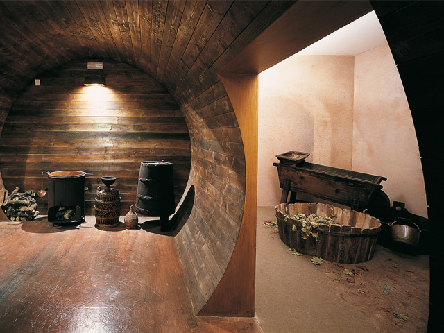 Musei ed Esposizioni